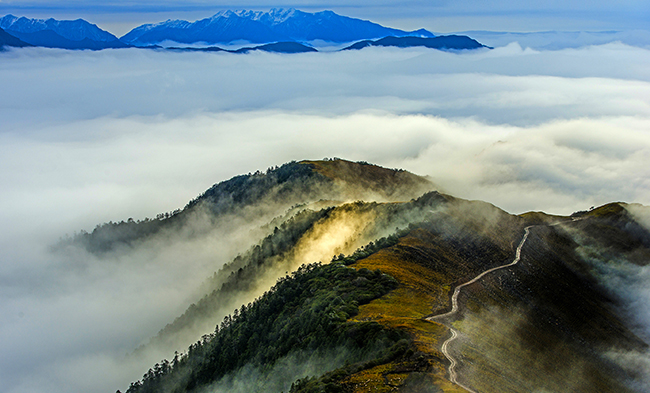 AG真人国际(中国) - 官方网站